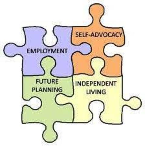 Individuals with Disabilities Education Act (IDEA) (PL101-476)