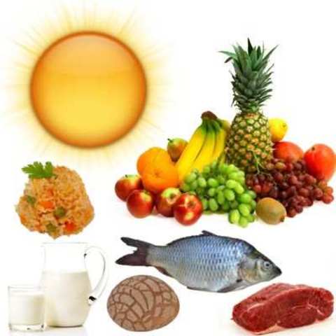 ¿Qué son los alimentos?