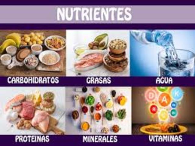 ¿Qué son los nutrientes?