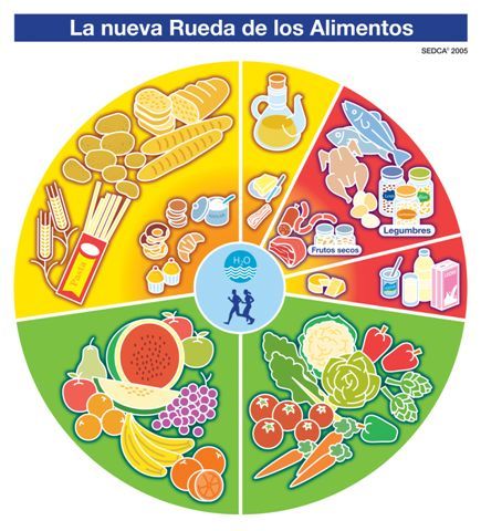 Clasificación de los alimentos
