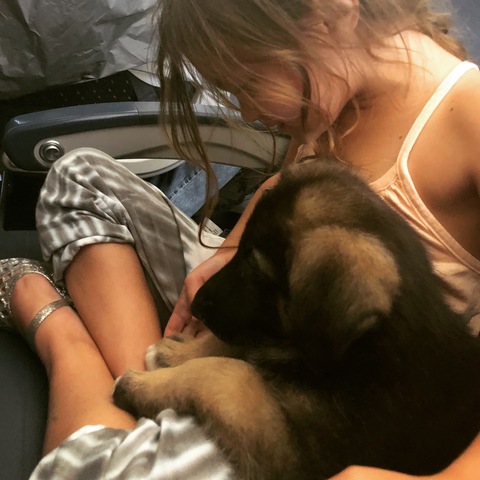 Industry vs. Inferiority -- Fiona Gets a Puppy