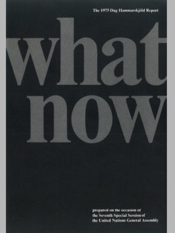 Proyecto ¿Qué Hacer?  Dag - Hammarskjold