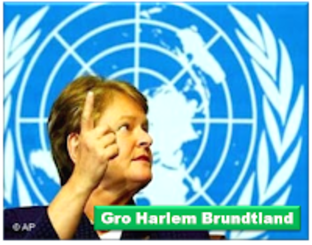 Se crea Comisión Brundtland
