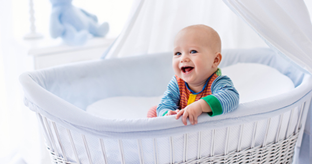 Nace mi otro hermano