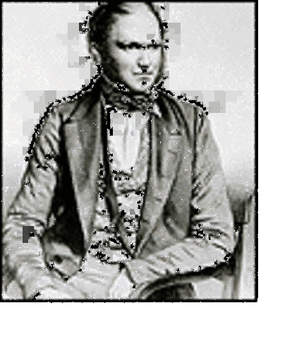 Darwin Published On the Origin of Species, Proposing Continual Evolution of Species