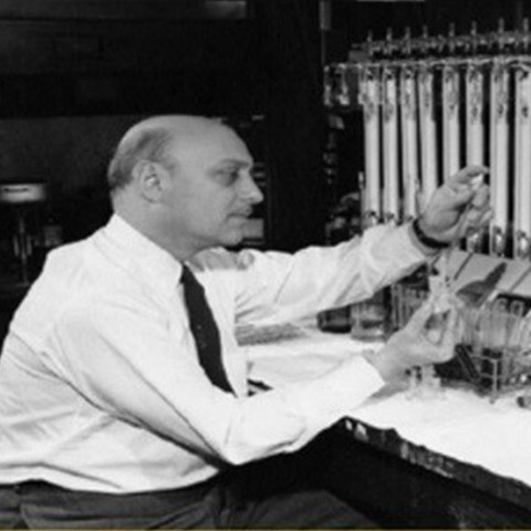 Las unidades curriculares