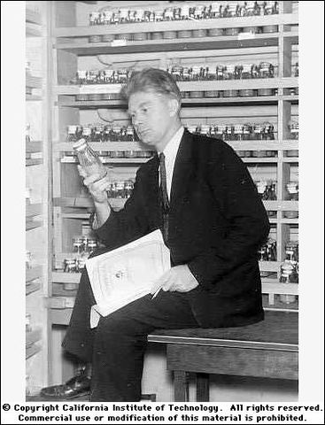 Calvin Bridges - Los genes están en los cromosomas.