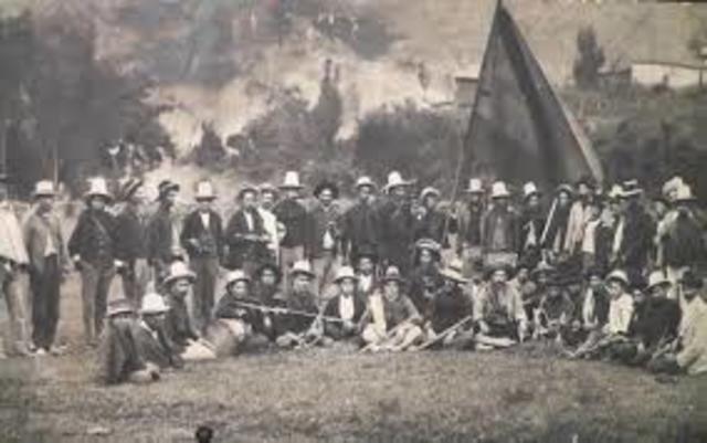 Batalla de Palo negro