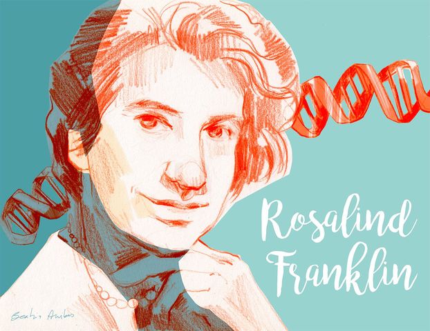 Rosalind Elsie Franklin - Forma y conformación del ADN
