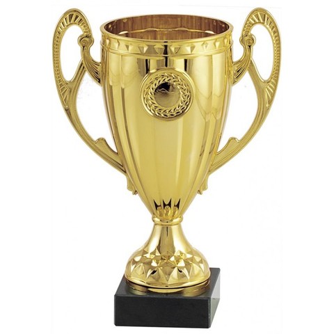 PRIMEROS CAMPEONATOS