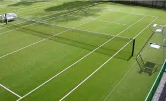 CREACIÓN DE UNA FEDERACIÓN INTERNACIONAL