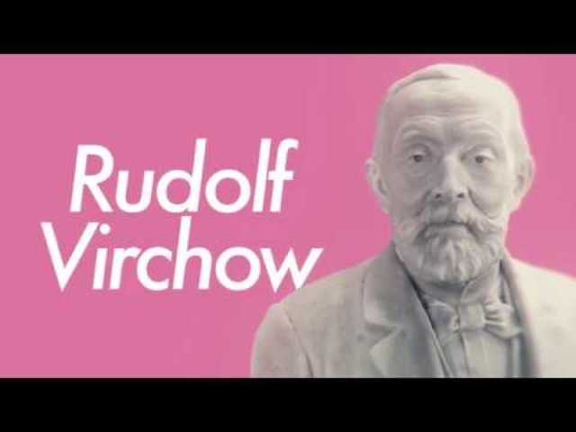 Omnis Cellula a Cellula - Rudolf Virchow