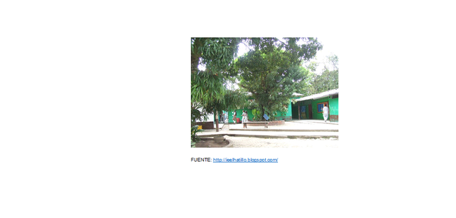 Actualización del manual.