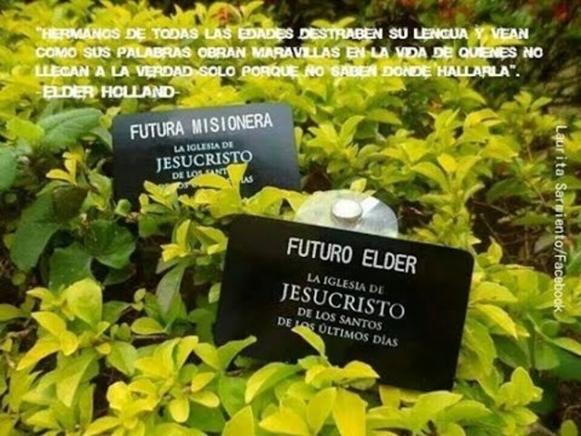 Mi futuro...15 años