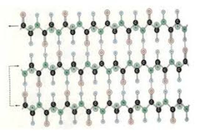 William Thomas Astbury