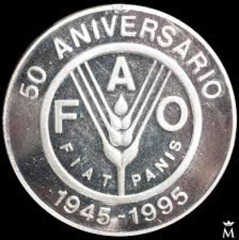 Ambito Cientifico-Se funda la Organización de las Naciones Unidas