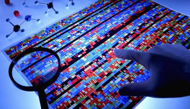 J. Craig Venter Institute, "Primer trasplante de genoma".