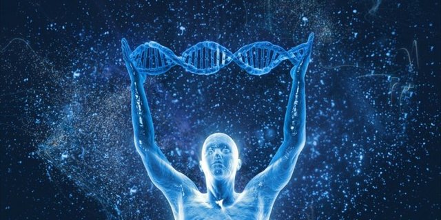 Técnica capaz de amplificar ADN a partir del genoma de una sola célula.