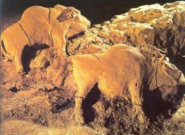 The Tuc d'Audoubert Bison Reliefs, Upper Paleolithic Period (c. 13,500 BCE)