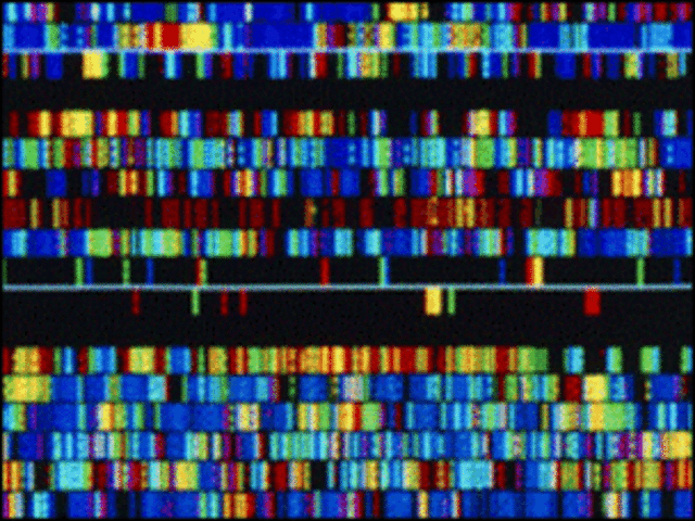 Trazan 95% de variantes del genoma humano