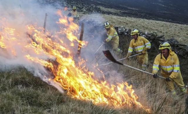 1955 - 1968 Periodo de Alerta