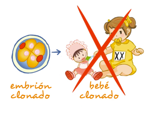 Declaración Universal sobre el Genoma Humano