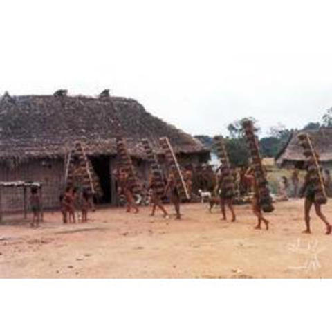 Kayapo Villages and Relentless Invasions (1980's)