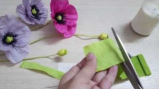 la opinión de kathy