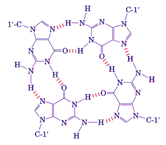 Tetranucleótido Plano