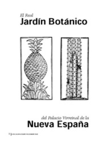 Surge la escuela Jardín Botánico.