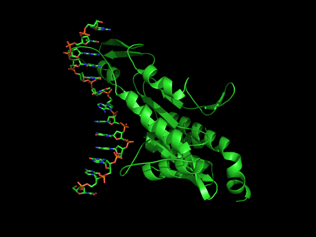 Primer fármaco con biología molecular