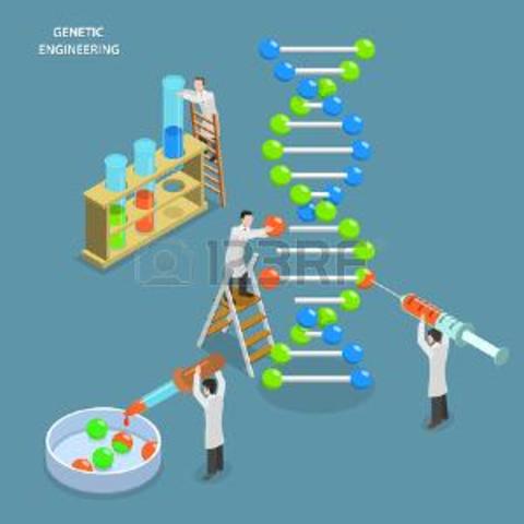 La Ingeniería Genética