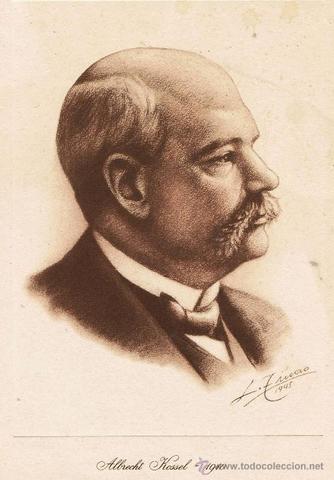 Albrecht Kossel