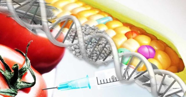 Ingeniería Transgénica