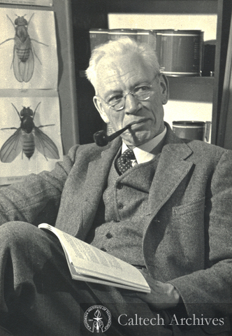 Alfred H. Sturtevant