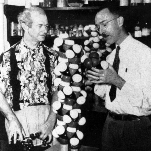 Linus Pauling y Robert Corey