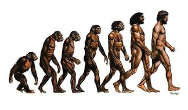 Evolution in Species