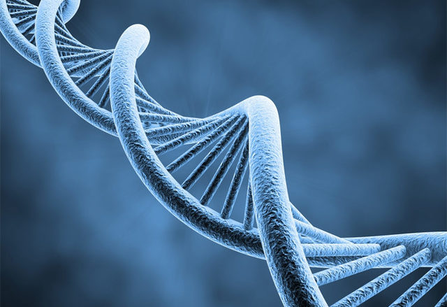 Se publica el primer borrador del genoma humano