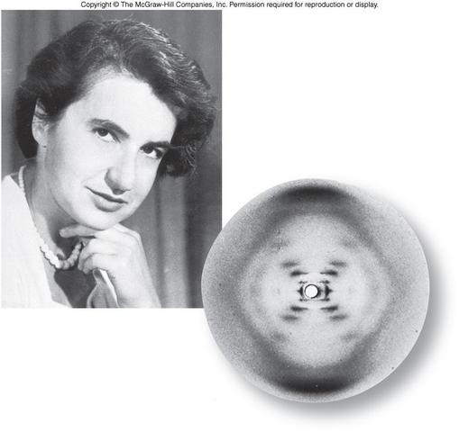 Rosalind Franklin