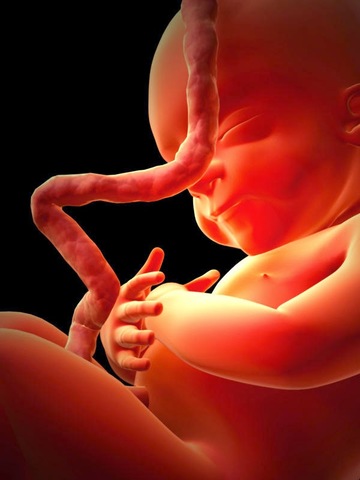 Diagnóstico prenatal mediante ADN