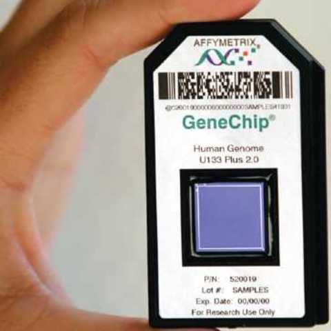 GeneChip
