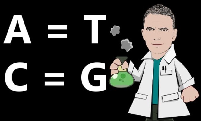 Las Leyes de Chargaff