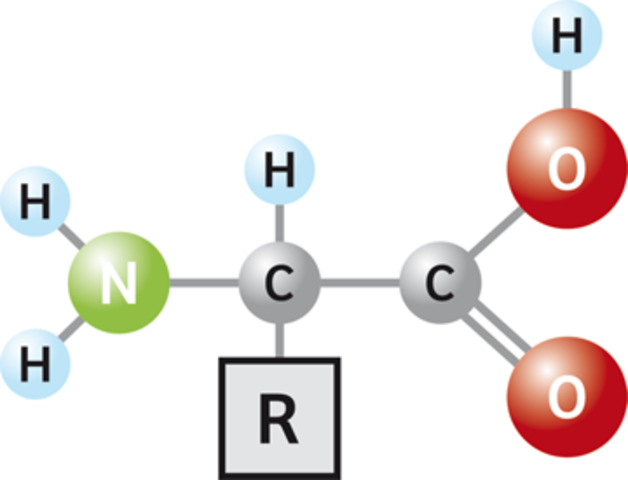 Se producen aminoácidos en el laboratorio