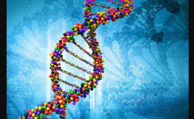 Primera versión del genoma humano