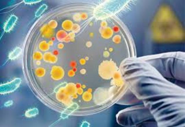 Antibioticos combaten las bacterias superresistentes