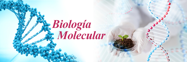 Se propuso el dogma central de la biología molecular