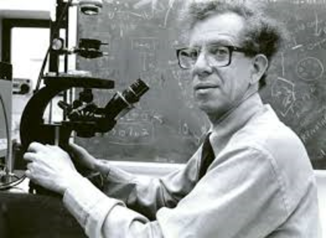 Se demostró que el genoma de ARN de los retrovirus era copiado a una molécula de ADN de doble cadena por la acción de la transcriptasa inversa