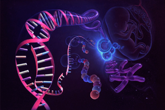 Proyecto Genoma Humano culmina fase 1