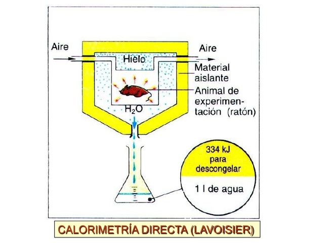 (1701) Principios de la medición del calor
