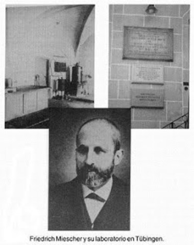 Friedrich Miescher descubre la nucleína